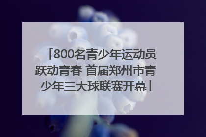 800名青少年运动员跃动青春 首届郑州市青少年三大球联赛开幕