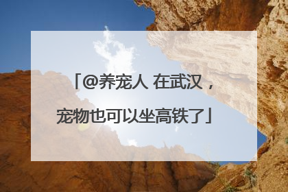 @养宠人 在武汉，宠物也可以坐高铁了