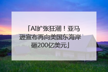 AI扩张狂潮！亚马逊宣布再向美国东海岸砸200亿美元