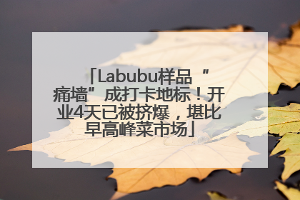 Labubu样品“痛墙”成打卡地标！开业4天已被挤爆，堪比早高峰菜市场