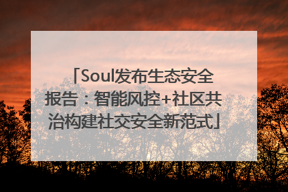 Soul发布生态安全报告：智能风控+社区共治构建社交安全新范式