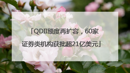 QDII额度再扩容，60家证券类机构获批超21亿美元
