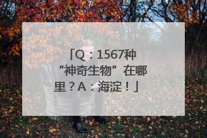 Q：1567种“神奇生物”在哪里？A：海淀！